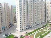 Ready Move Projects Make Best Kind Investment