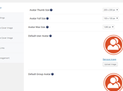 Useful Hacks Customizations Your BuddyPress Powered Website Reign Theme