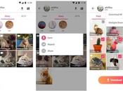 Download Instagram Stories: Best Story Downloader Apps (2019)