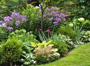 Turn Your Garden into Backyard Paradise