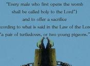 Nativity Advent: Sacrifice Pigeons