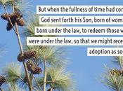 Thirty Days Jesus Repeat: Adoption