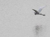 POEM: Skipping Stones