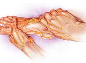 Suffering From Diabetic Neuropathy These Natural Remedies