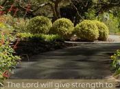 Could Paul Sing Jail?