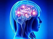 Ayurvedic Herbs More Effective Than Amandantine Parkinson’s Disease?