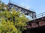 Views Signal Tower [the Over-hanging Tree Bonus]