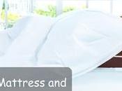 Clean Mattress Protect Your Family