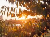 Three Views Same Sunrise Liberty State Park [with Shadows]