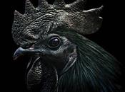 Riffcaster's 2019 List