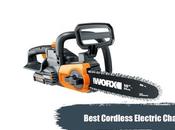 Best Cordless Electric Chainsaw 2020 What