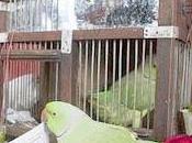 Predicting Future Want Know Whether Will Turn