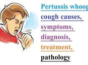 Pertussis Whooping Cough Causes, Symptoms, Diagnosis, Treatment, Pathology