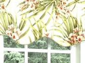 Tropical Window Coverings