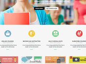 WordPress Themes