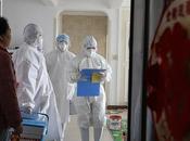 Rose Other Name Corona Virus Officially Named COVID-19