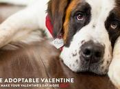 Coors Light Wants Make Canine Your Valentine This Year
