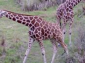 Amazing Natural World