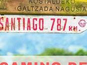 Camino Ways Review: What Liked Didn’t