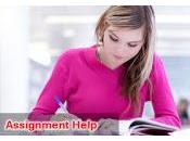 Increase Value Your Project Through Cheap Assignment Help