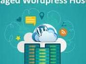 Best WordPress Hosting Services Should Migrate