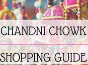 Book Travel Guide Chandni Chowk Delhi