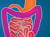 High Fiber Foods Babies Toddlers