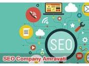 Experts Company Amravati Providing Best Service