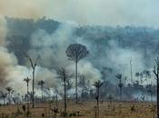 Amazon Supremo Pledges Third-Largest Charitable Fund Combat Climate Crisis