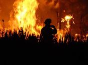 Scientists Believe Proportion Forests Burned Australian Bushfires “Unprecedented” Globally