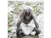 Agriculture Crop Raising Harvesting Returns.......... What Happens