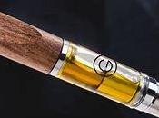 Cannabis Plant (CBD) Help Quitting Smoking?