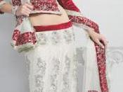 Latest Beautiful Graceful Bridal Saree Collection 2012