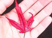 {Healthy Flavorful Food} Garlicky Squash Buttery Quinoa Salad