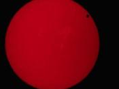 Transit Venus Live Video Link