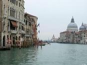 Corona Virus Reaction Nations