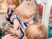 Choosing First Family Pet: Tips What We've Chosen!