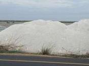 Ever Heard Ethnomusicology Bahadur Saminatha Iyer