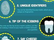 Interesting Facts About Teeth Infographic