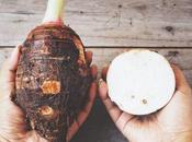 Magical Benefits Eating Taro Root Your Health Body