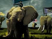 Clutch Elephant Riders