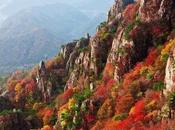 Virtual Hikes: Best Without Leaving Home