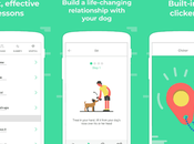 Best Whistle Apps Train Your