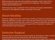 Reishi Mushroom Extract Benefits, Side Effects Dosage