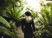 Daintree Rainforest 1-day Cape Tribulation Tour