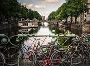 Ultimate Amsterdam Travel Guide
