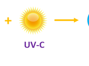 Ozone Layer Explained