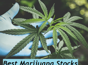 Cannabis Stocks Best Marijuana 2020