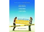 Sunshine Cleaning (2008) Review