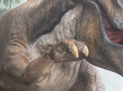 Science Museum Minnesota Introduces Omnifest Home